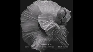 daniel ray 99 paper stars original mix dc015 dream culture 