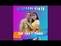 Download Lagu Bidadari Cinta