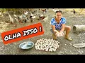 Download Lagu DUVIDO VOCÊS JÁ TEREM VISTO ALGO ASSIM😱EM UMA SEMANA DE MUITA DOR OLHA SURPRESA QUE TIVEMOS