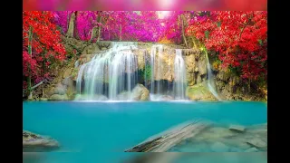 اهداء الى امى المتوفاة اللهم احشرها مع النبيين والصدقين والشهداء ونور قبرها روضه من رياض الجنه 