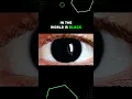 Lagu Black Eyes - Rarest Eye Color in the World