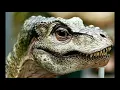 Download Lagu Jurassic World Baby T Rex sounds