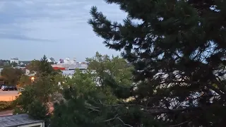                                                                              دندنها