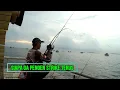 Umpan Sisa Malah Gacor Menjelang Sore !! Musim Baratan