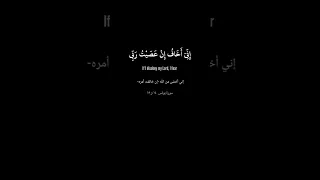 Surat Yunus Verse 14 And 15 الشيخ ياسر الدوسري سورة يونس Shorts 