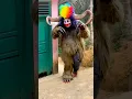 Download Lagu Ada hantu badut