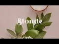 Avery Anna - Blonde (Lyric Video)