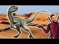 Raptor 06 - ISBN Assignment Problem