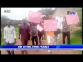 Download Lagu Sabongida Evbiobe-Ora Elders Back Indigenes' Protest Against Self-Proclaimed Oje of Ora