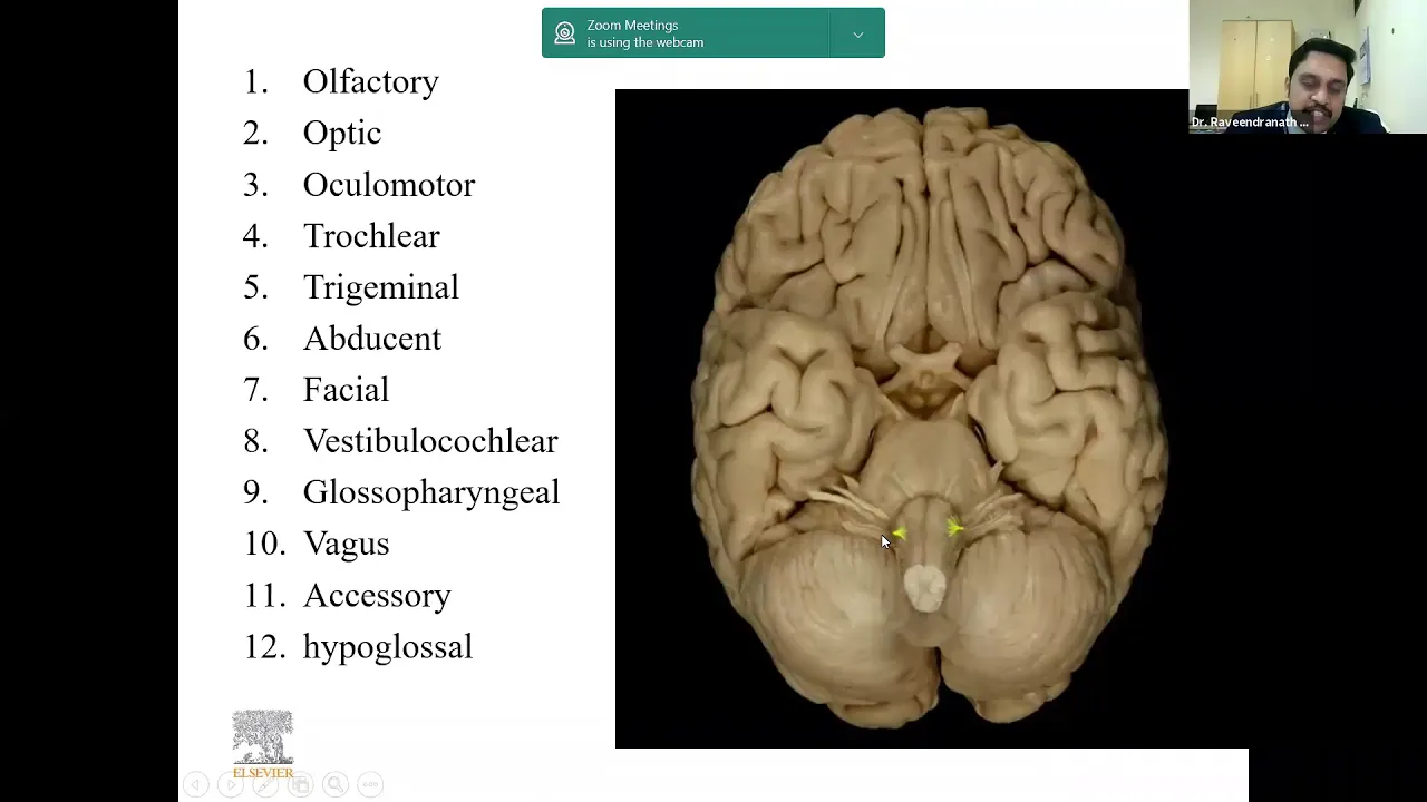 Webinar on "Functional Components Of Cranial Nerve" with Dr. Raveendranath Veeramani