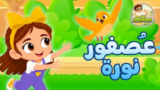 عصفور نورة   الحلقة     مغامرات سالم   قصص أطفال   قصص قبل النوم دندنها