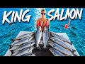 Fishing CLEAN CLEAR WATER For KING SALMON In the SUMMER CATCH AND COOK
