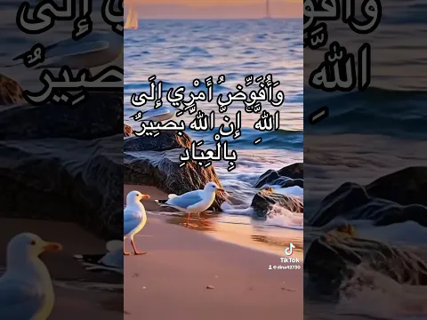 وَأُفَوِّضُ أَمْرِي إِلَى اللَّهِ ۚ إِنَّ اللَّهَ بَصِيرٌ بِالْعِبَادِ #حالات_واتس_اب