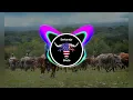 Colt Ford - Workin' On 《 Sertanejo Bruto 》