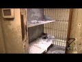 Inside the Adams County Jail
