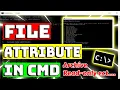 File Attribute in Command Prompt Command Prompt Tutorial for Beginners