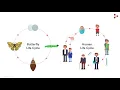 Introduction to Cell Cycle | Don't Memorise