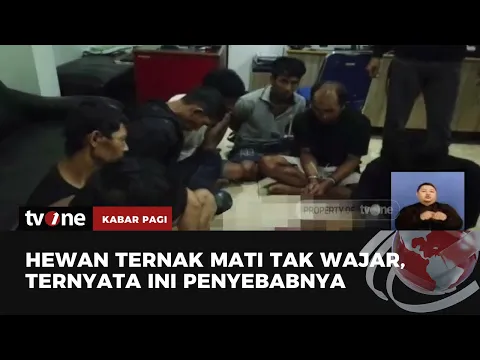 Terkuak! Ini yang Membuat Hewan Ternak di Garut Tewas Misterius