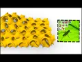 Grasshopper Tutorial Gyroid Pattern
