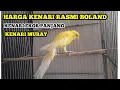Download Lagu Harga kenari Rasmi Boland || Kenari Rasmi si ekor panjang || Persian Rasmi