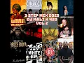 Lagu 3 Step Mix 2025 DJ MALI K Vol 2