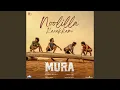 Download Lagu Noolilla Karakkam (From \