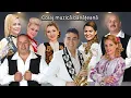 Download Lagu Colaj muzica banateana 🎤|| Colaj muzica populara din Banat 🎷