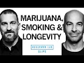 Health Impact of Smoking Vaping Both Marijuana Nicotine Dr Peter Attia Dr Andrew Huberman