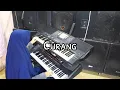 Lagu Curang (Rita Sugiarto) Karaoke | Latihan Keyboard KN 1400 \u0026 Korg PA 700