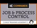 Linux Jobs and Processes