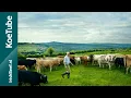 Download Lagu James Murphy over het produceren van het beste Ierse rundvlees in Kilkenny | Irish Beef