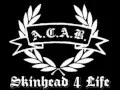 Download Lagu A.C.A.B - Skinhead Selamanya