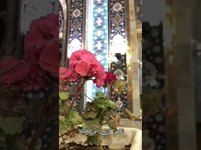 ⁣#ستوريات_انستا اللهم عجل لوليك الفرج قريب منك  جمعة مباركة  عليكم  صباحكم مهدوي