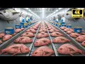 Lagu Inside the Massive Tuna Factory — How Giant Tuna Are Really Processed (Full Process)