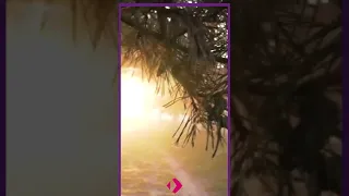 أروع تلاوة تريح النفس سورة آل عمران الطبلاوي 