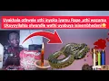 Download Lagu Uyakhala othwele uthi inyoka iyamu Rape ,uthi waya koyilahla olwandle wabuya isisembhedeni😳[Zizwele]