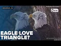 Eagle love triangle New male spotted at Decorah North Nest Cam