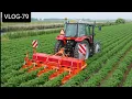 Download Lagu FARMVLOG #79 pootaardappelen selecteren, frezen