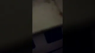 Https Twitter Com Betzc067 Status 1516852228216160262 T X 374QK ZBnt7JZJgwLO Q S 19  Https Twitter Com Betzc067 Status 1516852228216160262 T X 374QK ZBnt7JZJgwLO Q S 19