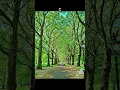 Download Lagu Creating Your Ideal Walking Path