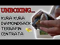 Download Lagu UNBOXING KURA KURA DIAMONDBACK TERRAPIN CENTRATA