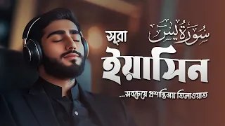 রাতের প্রশান্তির জন্য সূরা ইয়াসিন | Calm Surah Yasin Full Recitation | Ahmed Ibrahim | An Nafee