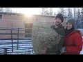 We Finished the Barn in Sub-Zero Temps | One Step Closer to Pack Horses