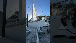 Sail Life – sails on!