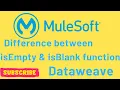 Difference between isEmpty and IsBlank function Dataweave 2 0