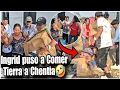 Lagu Gran 3scandalo Chentia de Tromp4 Cayó/ Ingrid se Lleva a Trucha para su Casa?😱