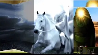 قصة على ابن أبى طالب واليهودي وفاطمة الزهراء والرمانة  قصة على ابن أبى طالب واليهودي وفاطمة الزهراء والرمانة