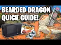 Bearded Dragon Care Guide - Beginners Guide