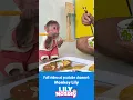 Download Lagu A busy day for monkey Lily when she is at home P3