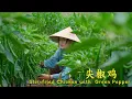 Download Lagu 从田间到餐桌，阿霞做的尖椒鸡和红三剁，辣味满分，太好吃啦！【叫我阿霞Channel】